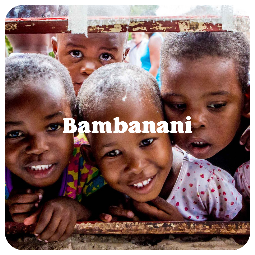 Ons werk - Bambanani